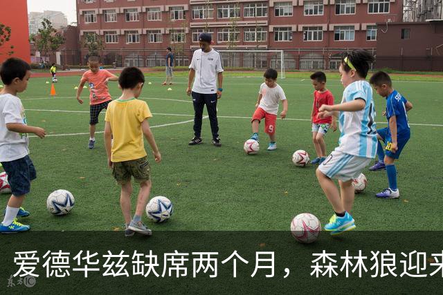 爱德华兹缺席两个月，森林狼迎来机遇与挑战！